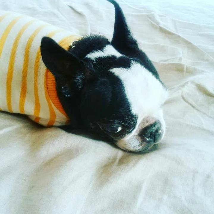 Dd45bb0e 4319 4711 9ddf ed2d910aeef2 1539853390630