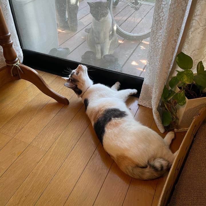 Dd45bd82 2464 4581 a06a 9ed22fe8f8cb 1696310930131