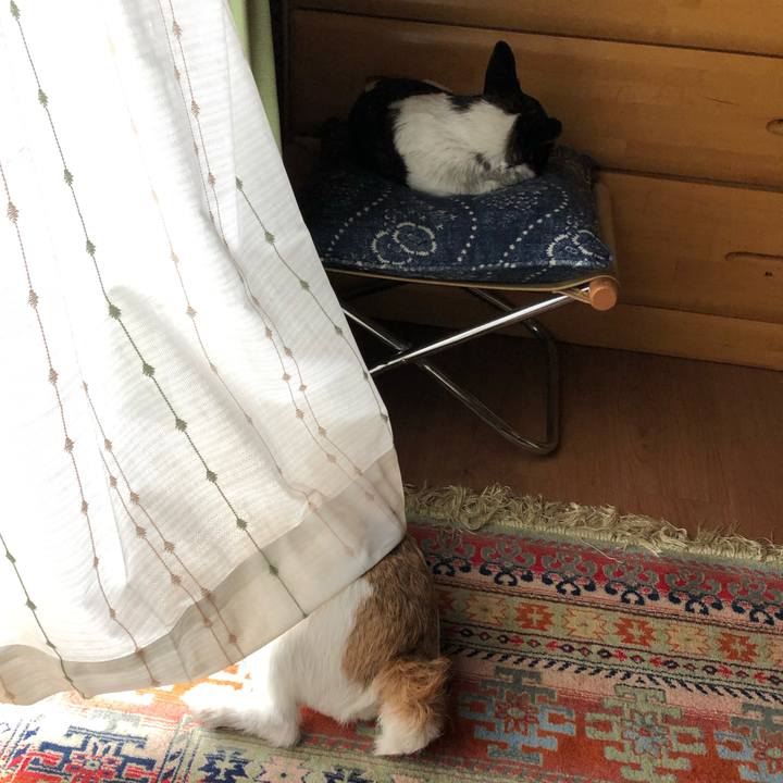 Dd45c683 f7a8 49d5 b3b3 220468743b8a 1561860093546