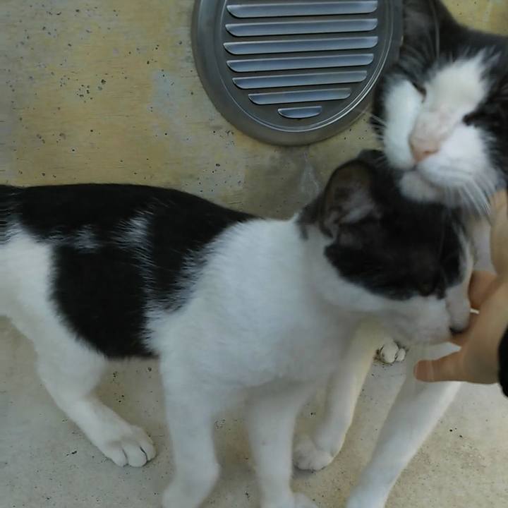 Dd45f7db 9840 4eba a64f 88068a88f194 1533211183513