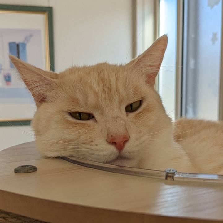 Dd462940 2625 4b5e a43a 93a147fc3842 1705454317513