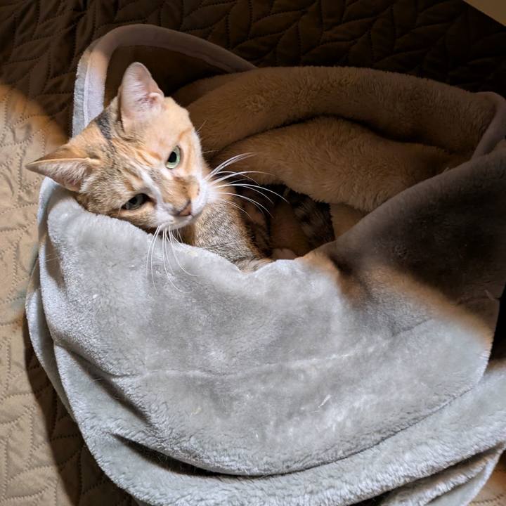 Dd4644f4 7805 4e82 bbd2 99de63a183ef 1763313657092