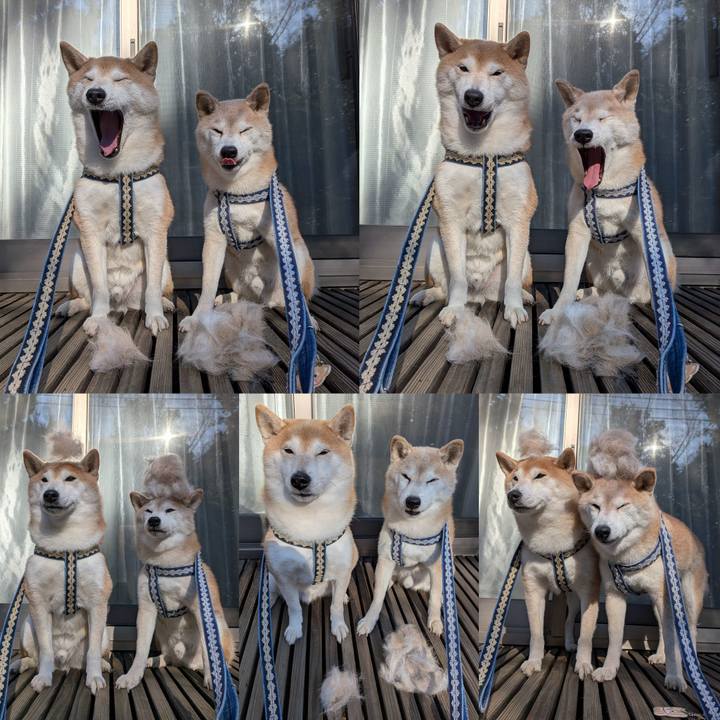 Dd464ffb 1c08 471b 924e 806b9c2b3fe5 1768616325260