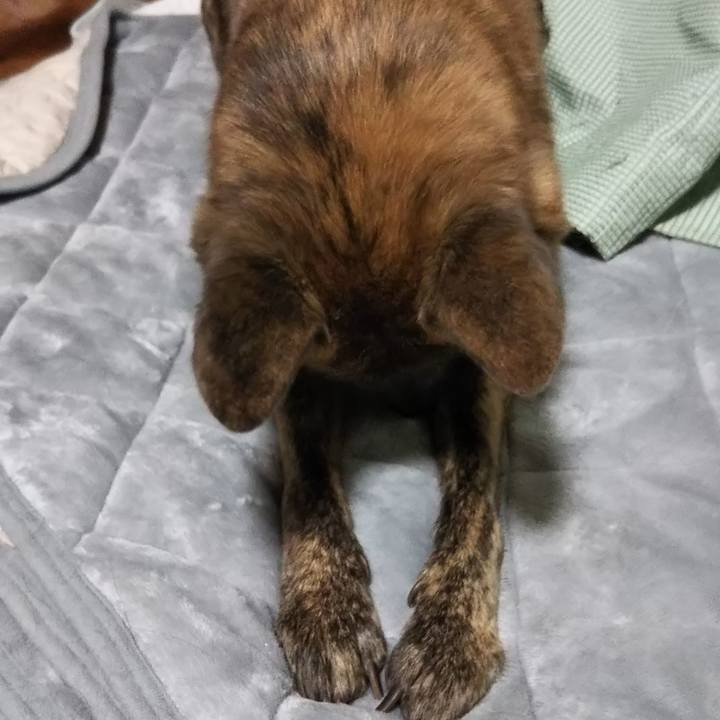 Dd467491 d3a2 4075 b379 b0613f89c703 1546337364573