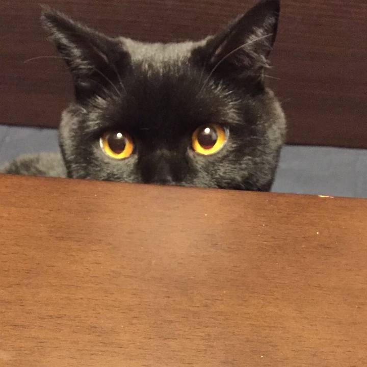 Dd469dd2 c733 402c a8c7 9cccd9f01f89 1513673108733