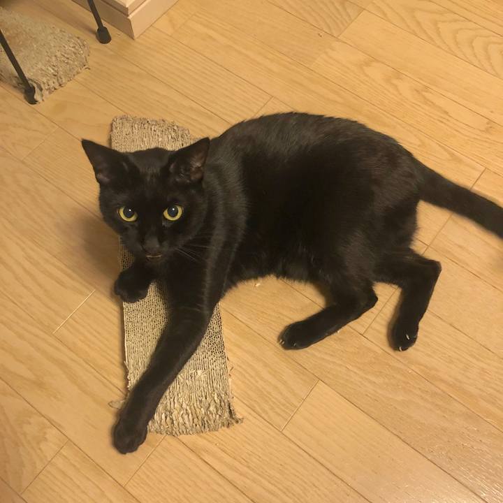 Dd46dbea b014 4235 89cf 9dbf6755789c 1549885659533