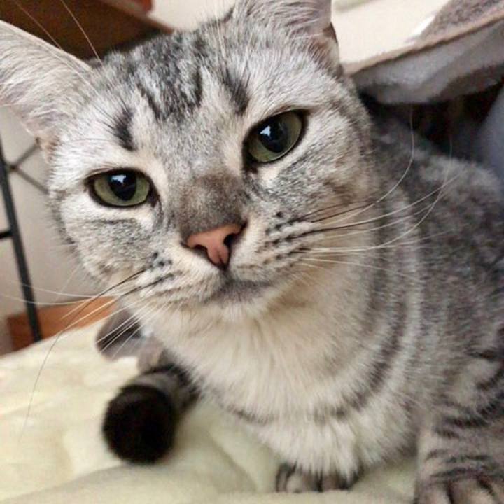 Dd46e2a3 f754 4b5a a08c 2b0cc0322777 1539553817062