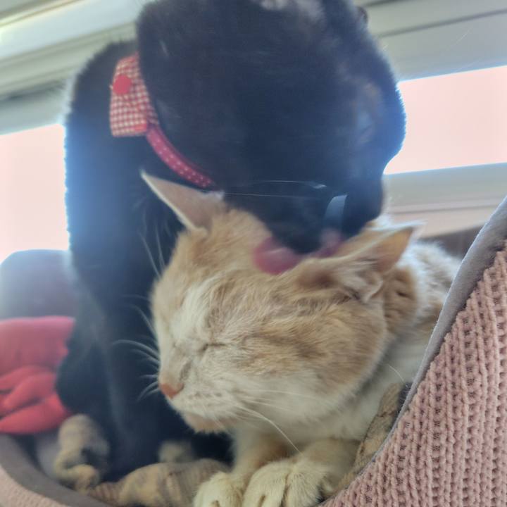 Dd46ece5 e3a7 4f8a a533 637205c6c54d 1715292437917