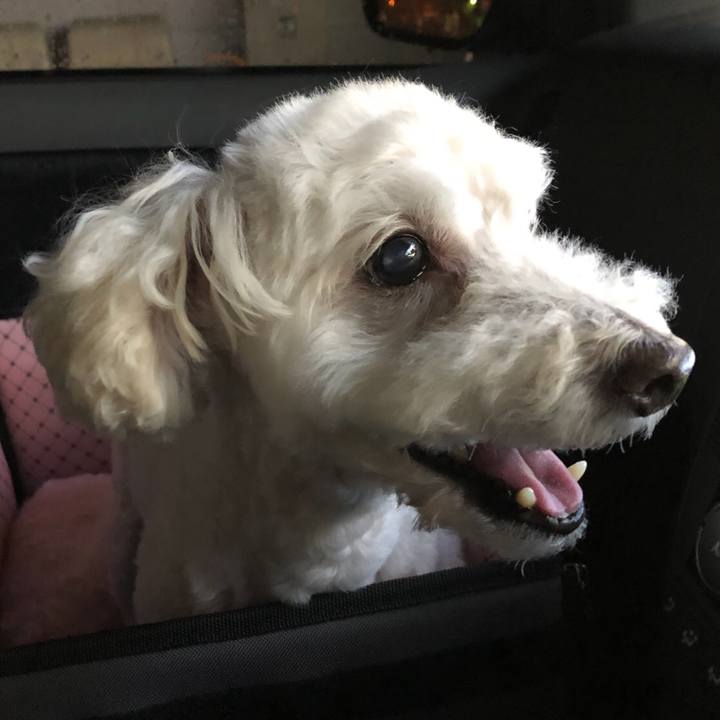 Dd46f237 ee32 4a11 8039 73226163170d 1535547828726