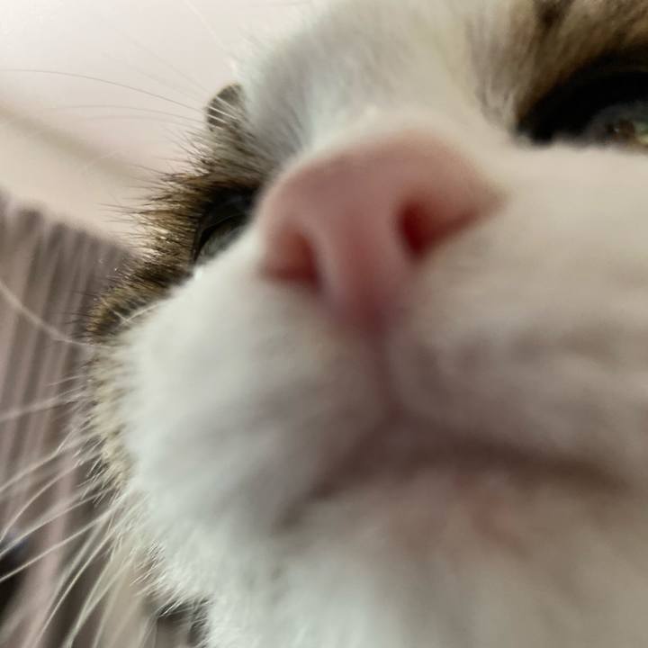 Dd46feb9 ebf8 4dbe 9066 14ea6243db77 1596711037333