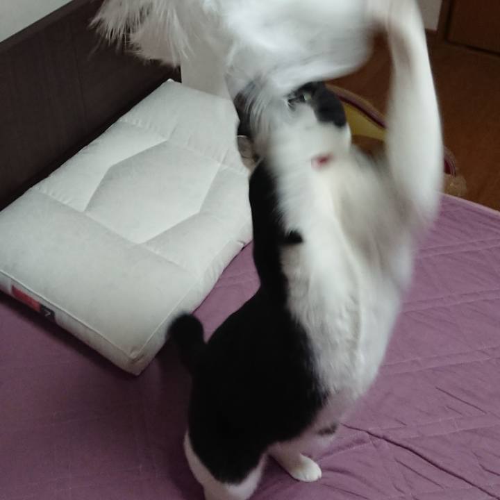 Dd470b71 e21d 4881 ba07 87d7253c0920 1616200602873