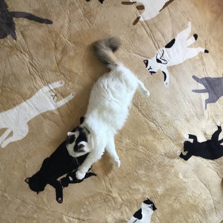 Dd47122a fe9f 4bed 9c6b e8cf7b59944c 1573782940938