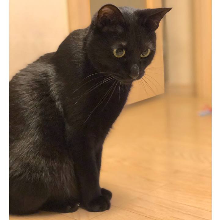 Dd471987 d0f4 4cc8 96cb 5d0d653a82de 1519308700519