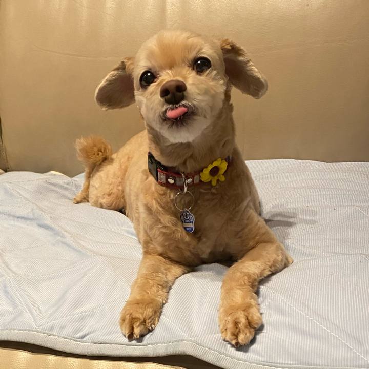 Dd4755f4 5a95 41aa b661 225419ef8d29 1628424672901