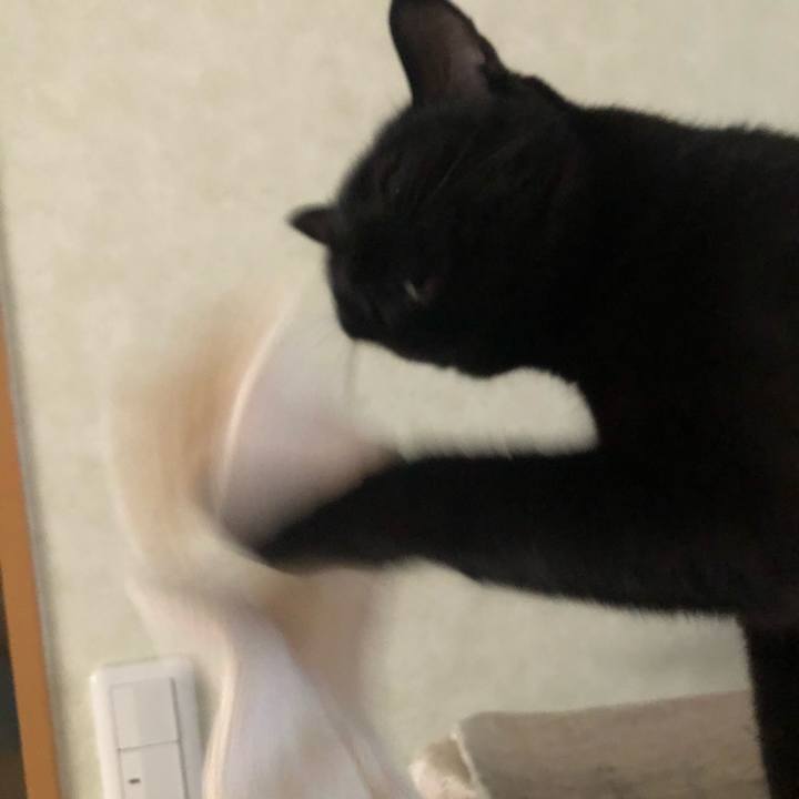 Dd47562b 13d4 4641 9484 4d7732d491b3 1599564188571