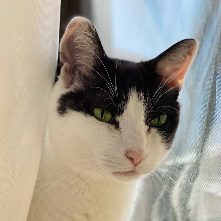 Dd4778b1 4065 40d7 9083 ddae5f6afcb1 1655518601513