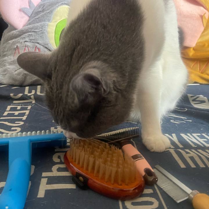 Dd47c0d8 4a9d 46a3 8dfa 13a5257b3d1a 1750553581653