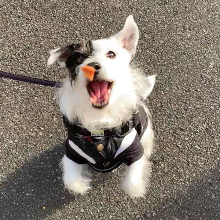 Dd47dba9 bc1d 4be2 a938 6649ab379f7a 1737243792872