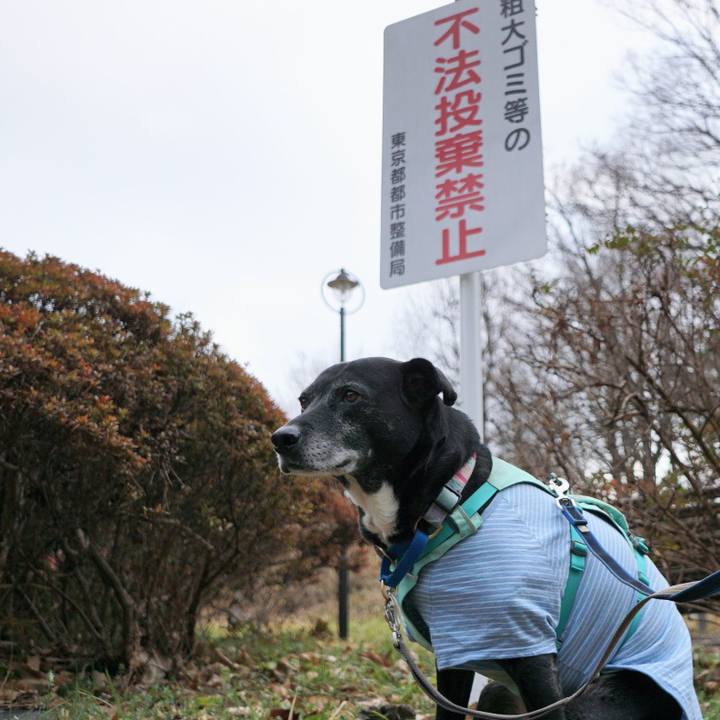 Dd47e38d 06b9 43b2 bde6 42657d7af7f9 1771373070950