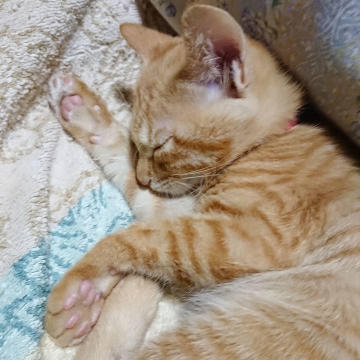 Dd47e530 942a 4db0 95bc 01b6d8c2b038 1632916982156