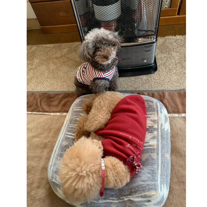 Dd47ff57 fb99 4d7e 8a09 52202987491c 1585089940324