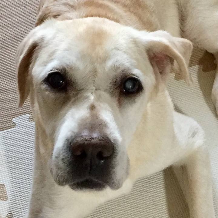 Dd482fdf ced8 4465 87db a1a0c43977ba 1532070444588