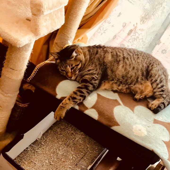 Dd48787d 0658 4705 89c2 1d6d175936a4 1526634104031