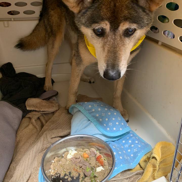 Dd489157 2dd1 4cfc 9cd8 f9fe73f884c5 1564561628476