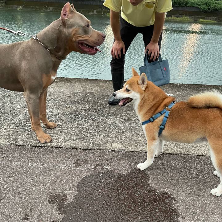 Dd4892f0 56a4 4c44 baa6 0a24ec3cff31 1663241505473