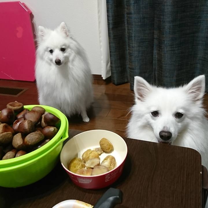 Dd48c147 98c7 46f9 ab93 bada537b97b5 1601010431075