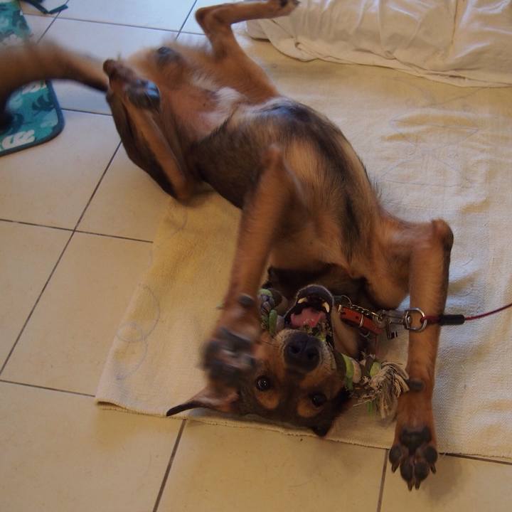 Dd48f019 6de1 4d53 8b98 a0811f23ec60 1513418252845