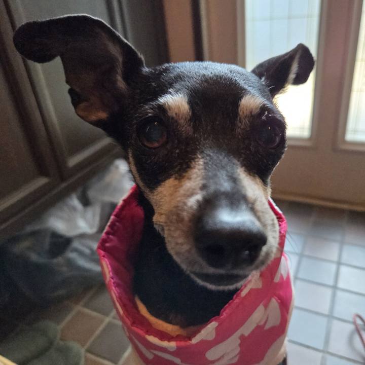 Dd48f04b efb9 47ed a738 3df15403d515 1765155022791