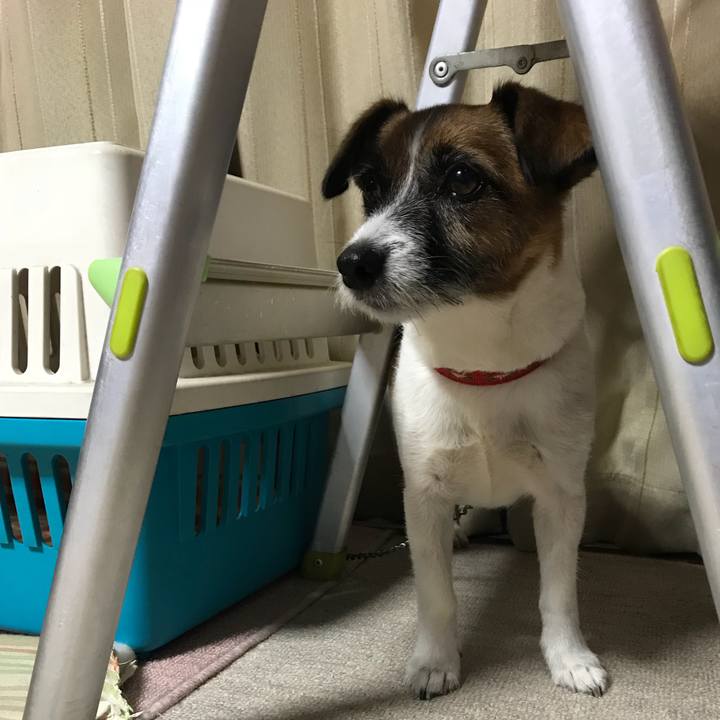 Dd48fab5 5e35 466f a233 2c8b8d991985 1536662411157