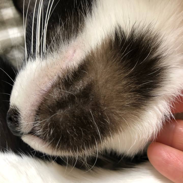 Dd490075 fe71 41b6 b266 21f0687594cf 1607170385612