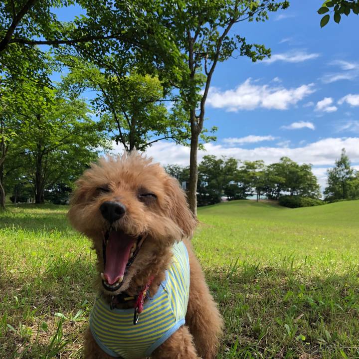 Dd4900e3 8587 4fe3 9e19 85af4c9a52e8 1562999094725