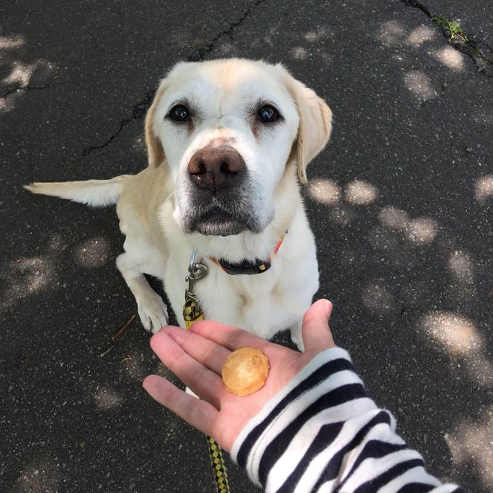 Dd490ff7 ba71 4ad2 ab6c f10d7c7893e0 1526353129048