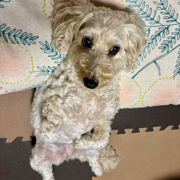 Dd4910f2 ce62 4388 8165 e04b6776b373 1758074469073