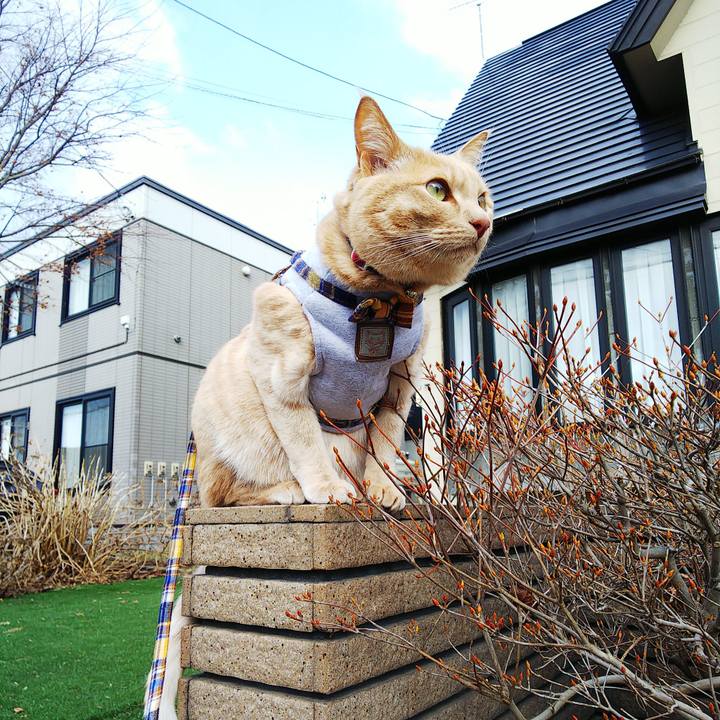 Dd49180b 7bfb 4dfd 8a99 3839f4fd4caf 1586562619016