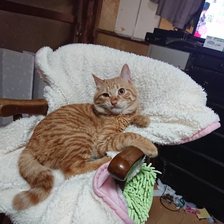 Dd4935cc 2c89 41ee a1a8 5be6df93e07e 1640135200684