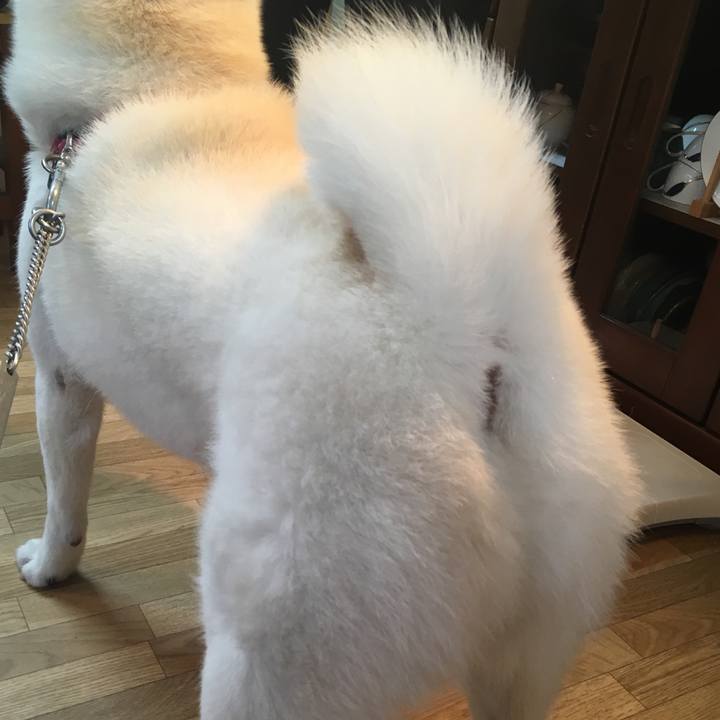 Dd4979ca 2ecd 4c4e bd47 ca045dc1d9b5 1538867539016