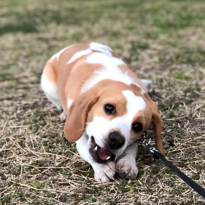 Dd498267 86be 4940 8c7d 112d03c247b7 1554080450641