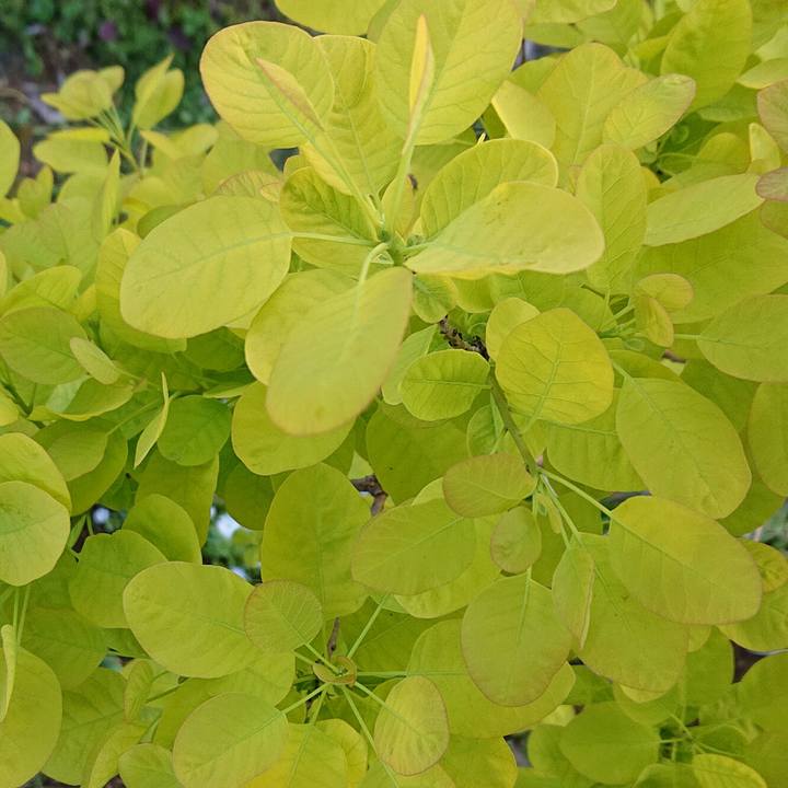 Dd49a503 bfc4 4bc3 bf41 5bcce8df6eae 1650974656268