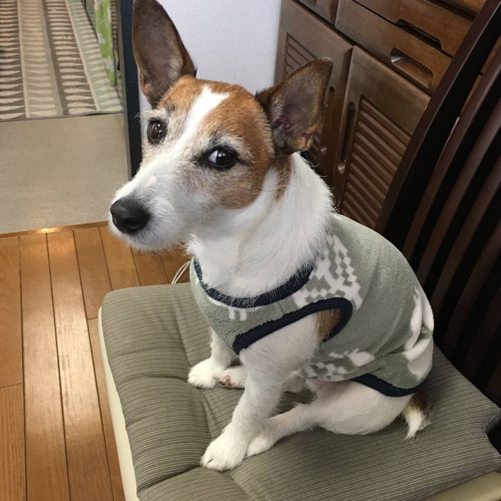 Dd49ce30 602a 495d 8060 601588f1adc5 1583277694576