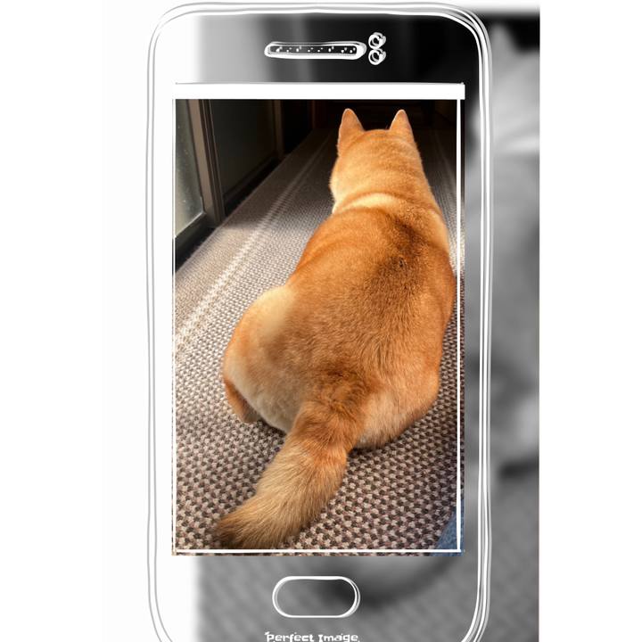 Dd49e5f7 0a66 45ce 8710 e49137015a70 1712532327686