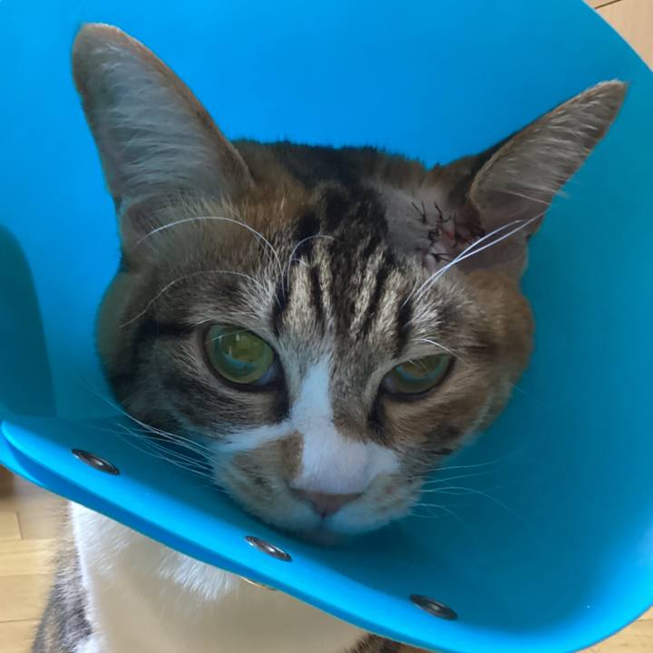 Dd49fb33 d923 4f9b a5c1 451e48806798 1731920041930