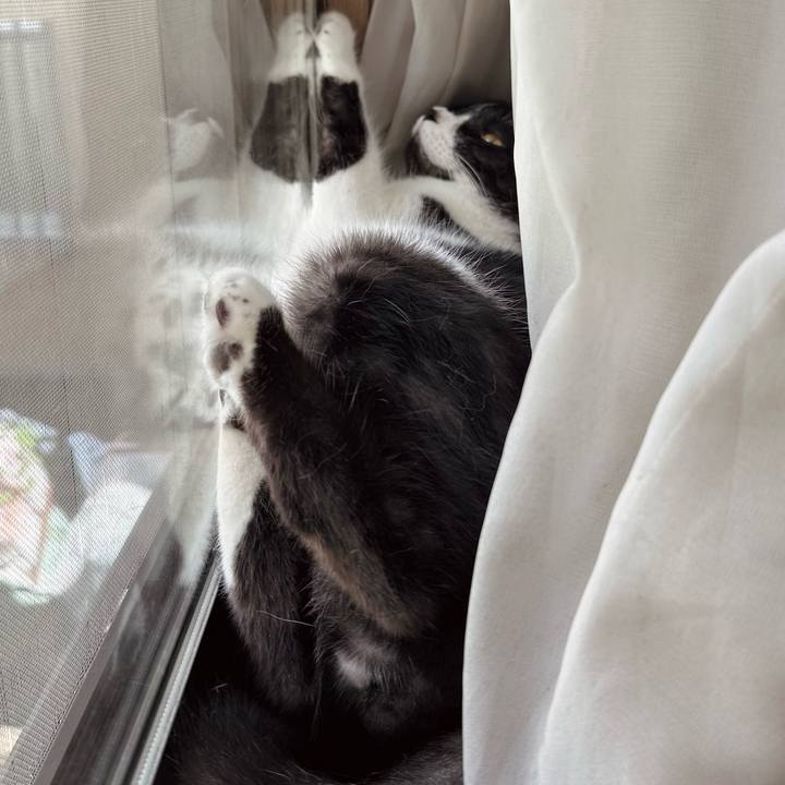 Dd4a125a dba9 434e a690 0ca280a33788 1755310273593