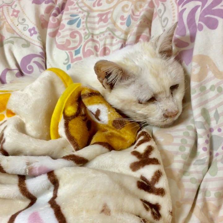 Dd4a2cea fc9e 419e 9196 8b2fd8cd5487 1514223143364