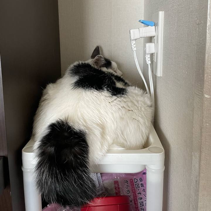 Dd4a646b b813 4d51 bdf6 f7fa042270a6 1686968300272