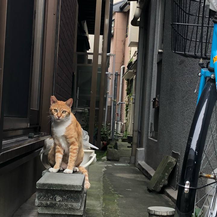 Dd4a9ed8 e79d 4ade b596 be6cff576aad 1564045230042