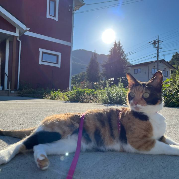 Dd4ab254 619c 4d3c 8ad6 3ac150258de6 1664583334144